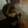 jessie - @jessieyoung - TikTok