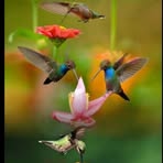 Jessica Aispuro - Facebook