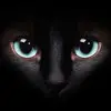 jessicaakery - @jessicaakery - TikTok