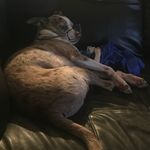 Jessica Armstead - @h8no1247 - Instagram