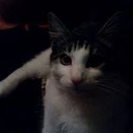 Jessica Avis - @avisjessica - Instagram