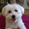 Jessica - @jessicabartalini77 - TikTok