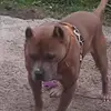 Jessica Bash - @jessica.bash - TikTok
