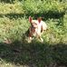 Jessica Beeson - Facebook