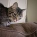 Jessica Behner - Facebook