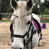 Jess Biggins - @winter.and.jess - TikTok