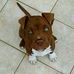Jessica Bowes - Facebook
