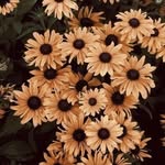 Jessica Broadhurst - @jessica_b0697 - Instagram
