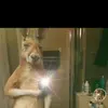 Jesica _buff - @jesica.buff - TikTok