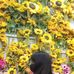 Jessica Mae Cale - Facebook