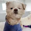 Jessica Candy - @jessica.candy7 - TikTok