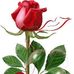 Jessica Candy Morales - Facebook