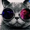 Jessica Class330 - @cats_loves_cute - TikTok