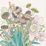 Jessica Clifton - @jessicacliftongardens - Instagram