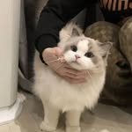 Jessica Cypher - @jessica_cypher98 - Instagram