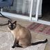 Jessica Deckard - Facebook