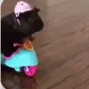 Jessica Pérez - @jessica.duron8 - TikTok