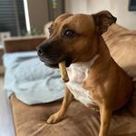 Jessica Eggert-Ossel - @eggert.jessica - Instagram