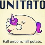 🦄Jessica Ferrel🦄 - @cupcakecutie_2003 - Instagram