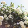 Jessica Gorrill658 - @jessicagorrill658 - TikTok