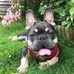 Jessica Hedges - Facebook
