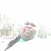 Jessica Huck - Facebook