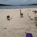 Jessica Hastings Laster - @jessica.laster2487 - Instagram