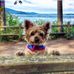 Jess Loeb - Facebook