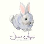 Jessica Luongo - @jeccalynnphoto - Instagram