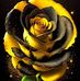 Jessica Mathieu - Facebook