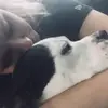 Jessica Rohe Mozingo - @jessimicalala - TikTok