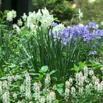 Jessica Munroe - @munroegardendesign - Instagram