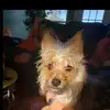 jessicamunsey - @jessicamunsey - TikTok