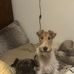 Jessie Ohl - Facebook