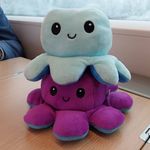 Jessica und Oswald - @jessica_und_oswald - Instagram