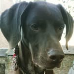 Jessica Pointer - @jessica_pointy - Instagram