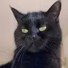 Jessica Ramsden - @jessica.rams2 - TikTok