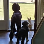 Jessica Relyea Ahearn - @mjkahearn - Instagram