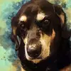 Jessica Rox - @jessicarox420 - TikTok
