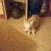 Jessie Speed - Facebook