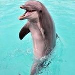 Jessica Steinert - @j.steinert158 - Instagram