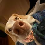 Jessica Bradford Trask - Facebook