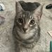 Jessica Vanwinkle - Facebook