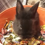 Jessica Voloder - Facebook