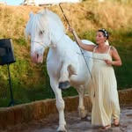 Jessica • Cours de Voltige à cheval • Martel - @jessica.voltigeuse - Instagram