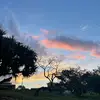 jessica.winkleman - @jessica.winkleman - TikTok