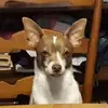 Jessie - @jessiebeach5 - TikTok