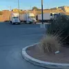 Jessie Beard - @jessie.beard - TikTok