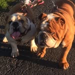 Jessie&bruno - @_x.jessie.bruno.x_ - Instagram