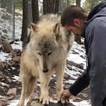 Jesse Capps - @themrcritter - Instagram